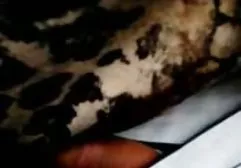 24 دانلود فیلم و عکس سکسی خارجی تعداد زیادی از عشق