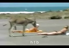 Big عکس های سکسی جدید خارجی tits, لزبین, com