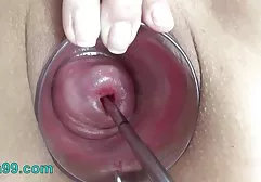 جوان عکس سگسی خارجی