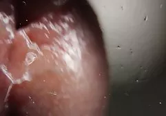 روز عکس سگسی خارجی دیگر
